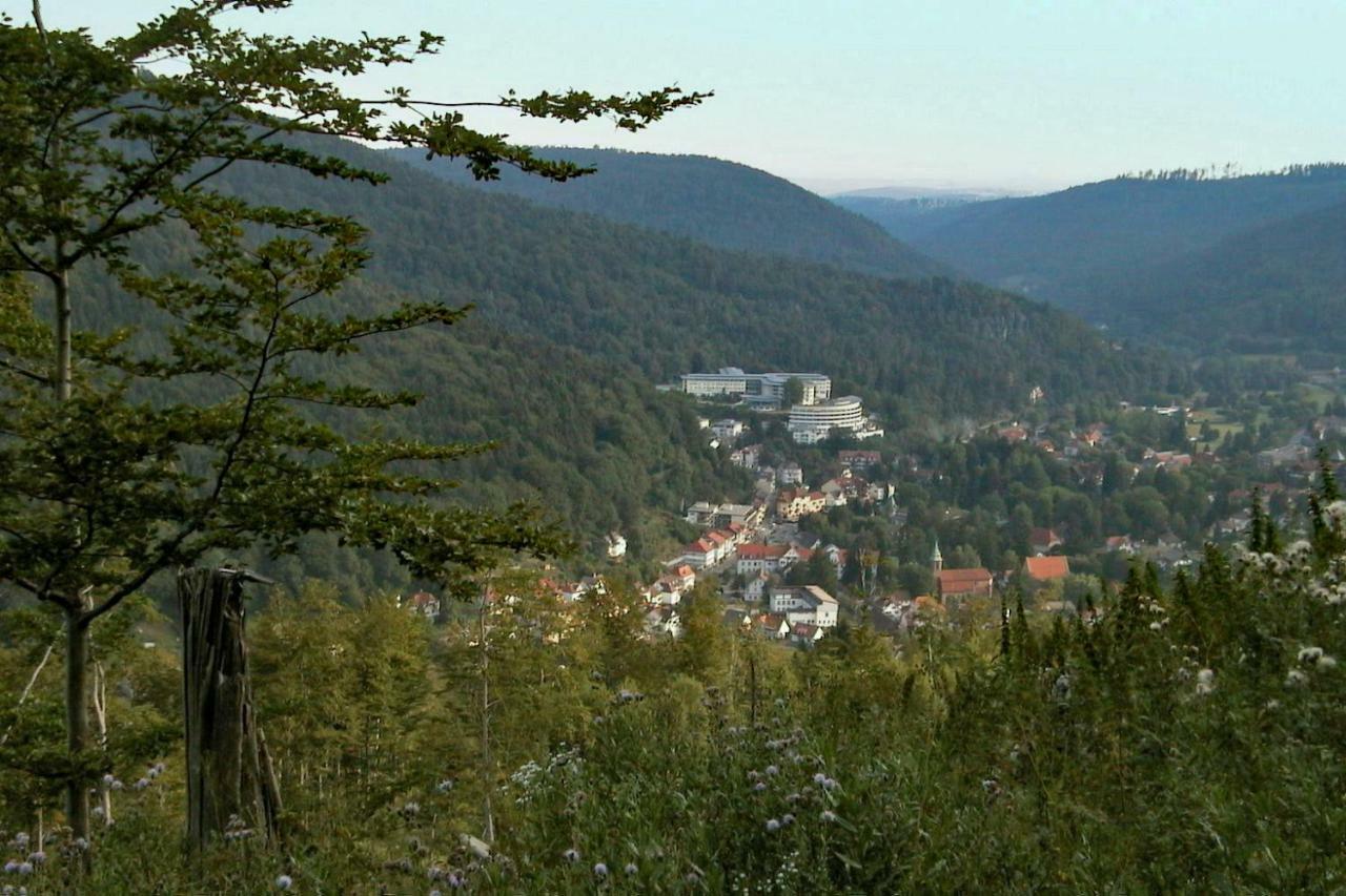 Nashira Kurpark Hotel -100 prozent barrierefrei- Bad Herrenalb Buitenkant foto